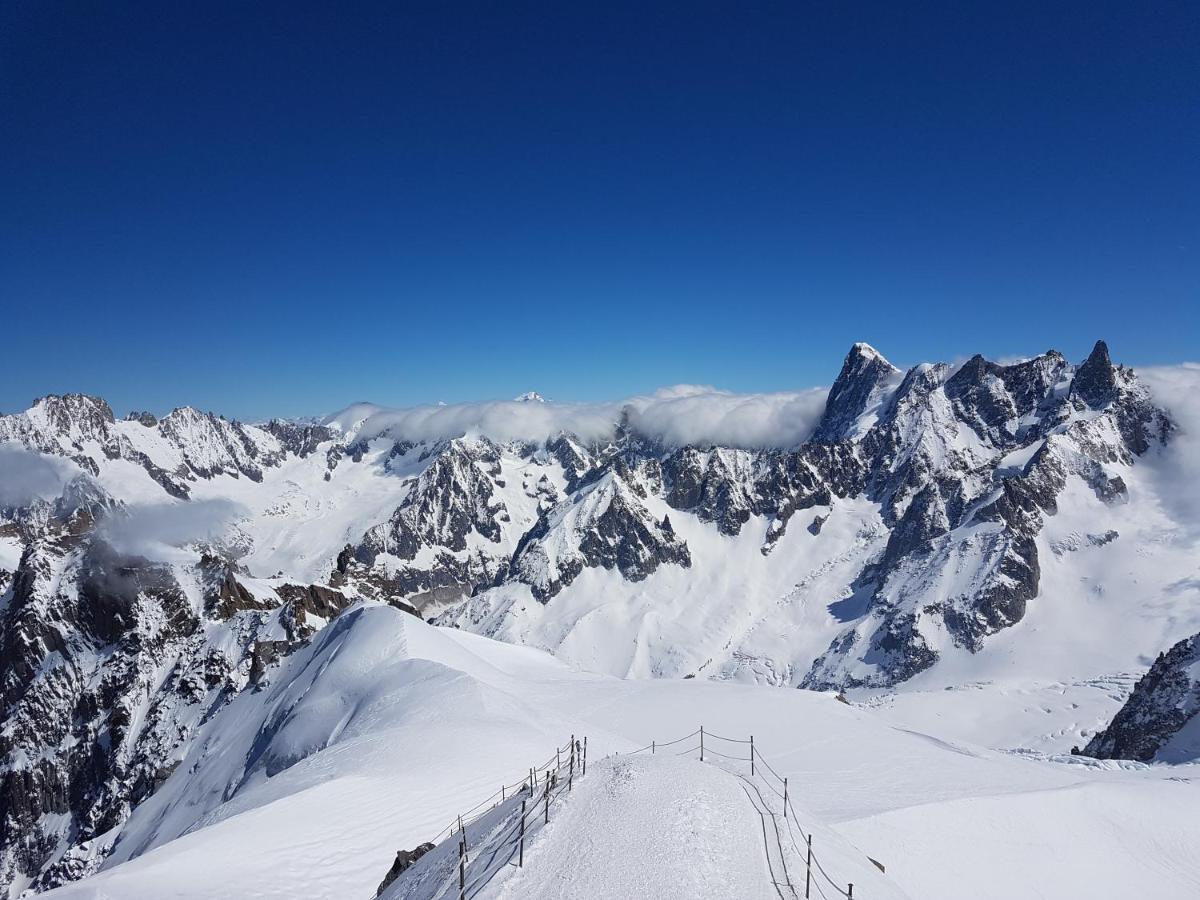 Vue Brevent Sublime En Centre Ville Avec Parking Prive Chamonix Kültér fotó